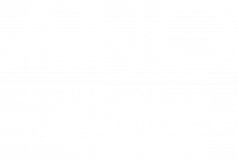 ANQ : Association des naturohérapeutes du Québec